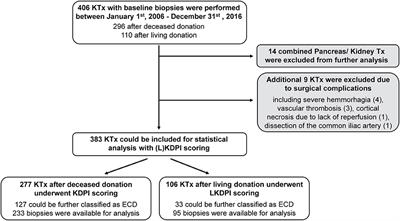 The Kidney Donor Profile Index (KDPI) Correlates With Histopathologic Findings in Post-reperfusion Baseline Biopsies and Predicts Kidney Transplant Outcome